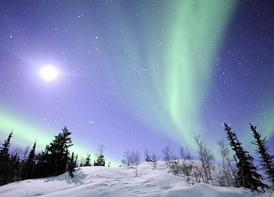 landscapes, snow, trees, aurora borealis - random desktop wallpaper