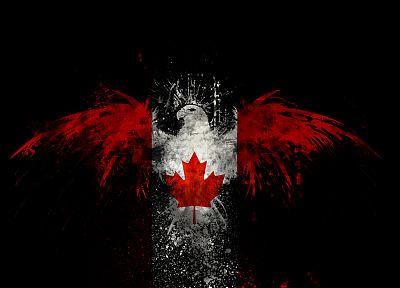 birds, Canada, Canadian flag - desktop wallpaper