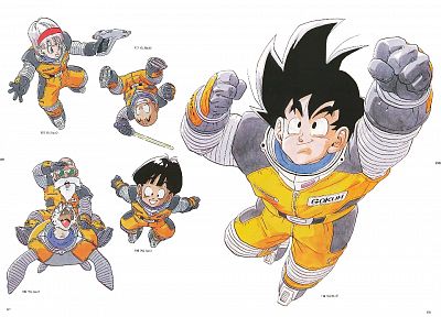 Son Goku, Master Roshi, Son Gohan, Dragon Ball Z, Bulma, Krillin - desktop wallpaper