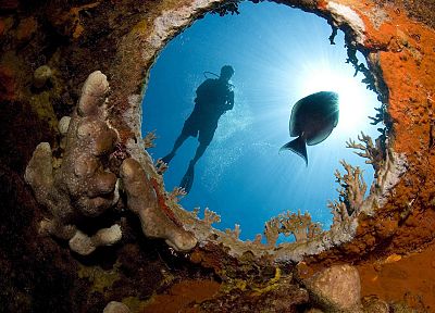 diver, diving, underwater - duplicate desktop wallpaper