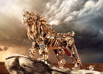 iron, lions - random desktop wallpaper