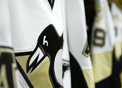 hockey, NHL, Pittsburgh Penguins - random desktop wallpaper