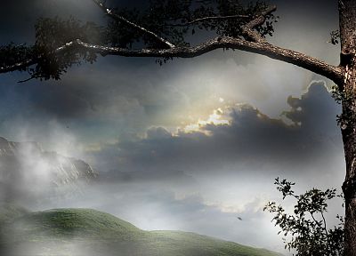 fantasy, trees, Moon, valleys, skyscapes - related desktop wallpaper