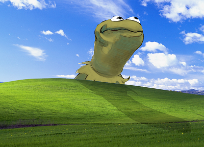 Windows XP, Kermit the Frog, Microsoft Windows, The Muppet Show - desktop wallpaper