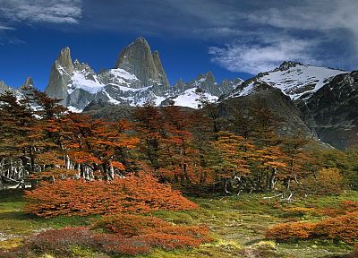 landscapes, trees, Argentina, beech, National Park, Mount - related desktop wallpaper