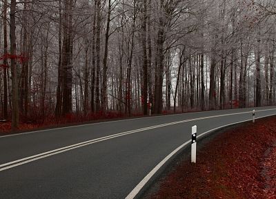 nature, autumn, forests, roads - related desktop wallpaper