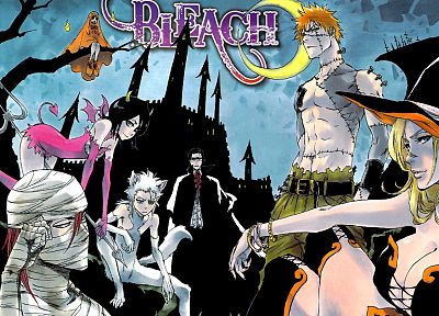 Halloween, Bleach, Kurosaki Ichigo, Inoue Orihime, Matsumoto Rangiku, Kuchiki Rukia, Hitsugaya Toshiro, Abarai Renji, Ishida Uryuu - desktop wallpaper