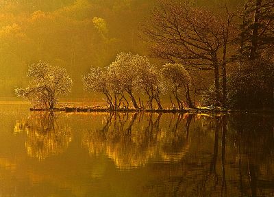 water, trees, reflections - desktop wallpaper