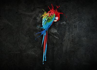 multicolor, birds, parrots, Scarlet Macaws - duplicate desktop wallpaper
