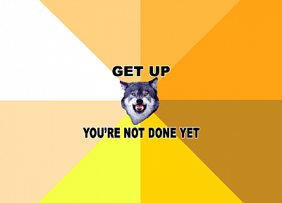 meme, Courage Wolf - random desktop wallpaper