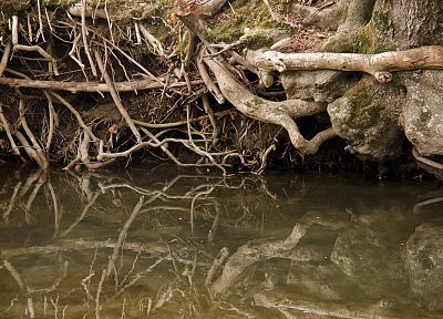 green, water, nature, wildlife, zen, Nikon, riverside - random desktop wallpaper