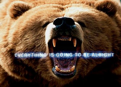 animals, funny, bears, roar, Everything Is Going To Be Alright - random desktop wallpaper