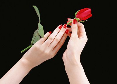 flowers, hands, roses - random desktop wallpaper