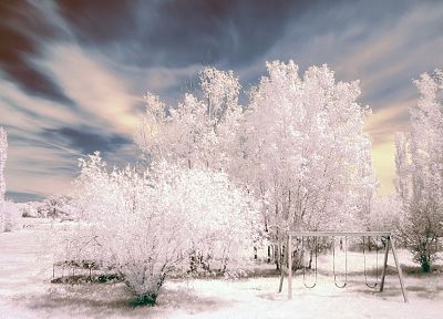 snow, trees, frost - related desktop wallpaper