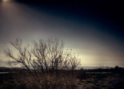 landscapes, Nine Inch Nails, bushes - desktop wallpaper