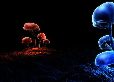 mushrooms, digital art - random desktop wallpaper