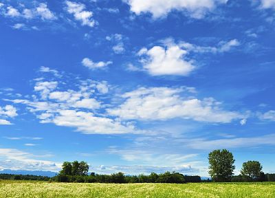 clouds, trees, grass, skyscapes - related desktop wallpaper