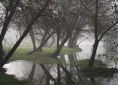 water, nature, trees, mist - duplicate desktop wallpaper