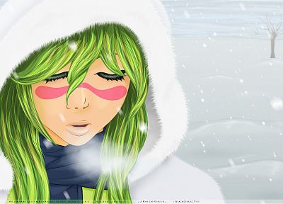 snow, Bleach, green hair, Espada, Nelliel Tu Odelschwanck, fur clothing - random desktop wallpaper
