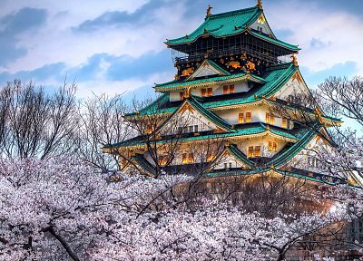Japan, Sakura, castle - random desktop wallpaper
