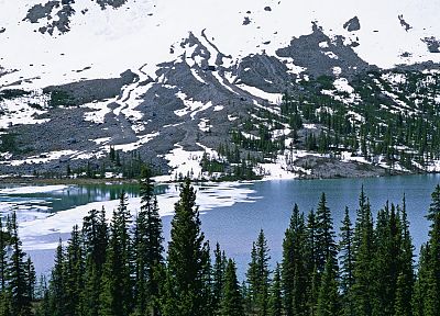 snow, Canada, Alberta, bows, Banff National Park, National Park - desktop wallpaper