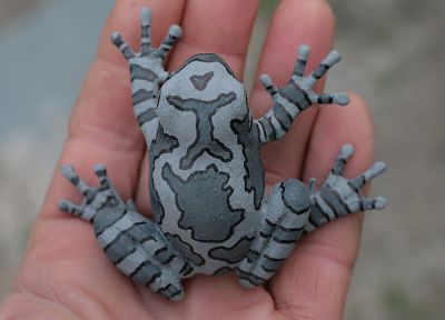 palm, gray, hands, frogs, amphibians, tree frogs - desktop wallpaper