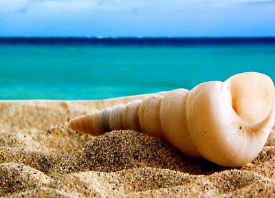 sand, seashells, beaches - desktop wallpaper