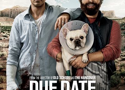 dogs, Robert Downey Jr, Zach Galifianakis, movie posters, Due Date - random desktop wallpaper