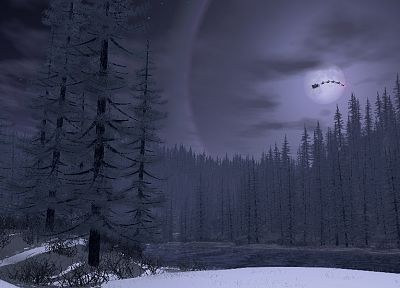 trees, night, forests, Moon, fantasy art - random desktop wallpaper