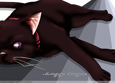 cats, Darker Than Black, Mao (Darker Than Black) - desktop wallpaper