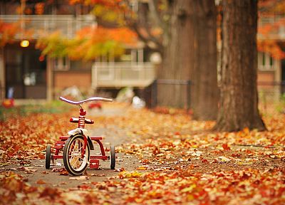 trees, autumn, streets, leaves, tricycles - random desktop wallpaper