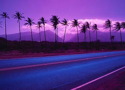landscapes, roads, palm trees - duplicate desktop wallpaper