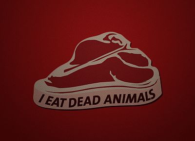 animals, meat, beef, carnivorous - random desktop wallpaper