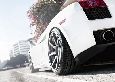 cars, Lamborghini, low-angle shot - desktop wallpaper
