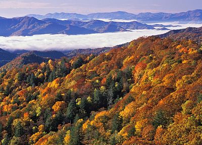 landscapes, nature, fog, National Park, Great Smoky Mountains, North Carolina - desktop wallpaper
