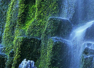 landscapes, forests, falls, national, Oregon, proxy - desktop wallpaper
