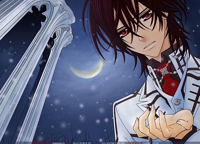 Moon, Vampire Knight, anime, Kuran Kaname - desktop wallpaper