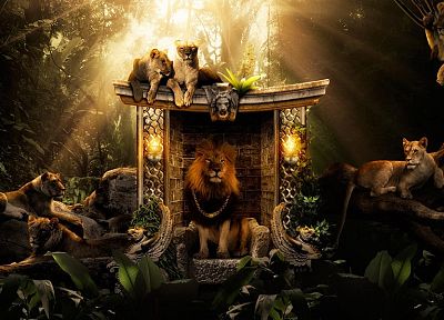 animals, wildlife, Desktopography - related desktop wallpaper