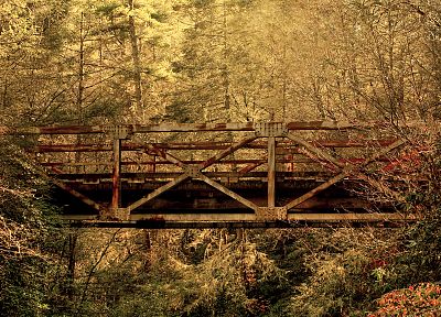 forests, bridges - duplicate desktop wallpaper
