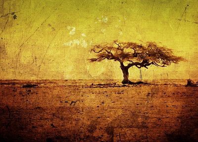 landscapes, nature, trees, savanna - desktop wallpaper