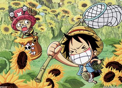 One Piece (anime), chopper, Monkey D Luffy - random desktop wallpaper