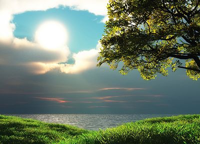 green, ocean, landscapes, nature, Sun, trees, grass, HDR photography, skyscapes, sea - random desktop wallpaper