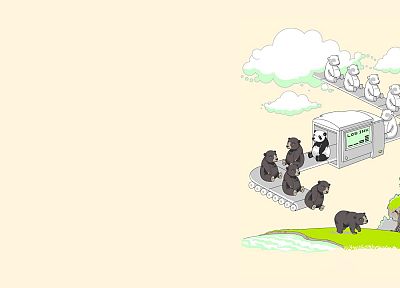 funny, panda bears, bears - desktop wallpaper