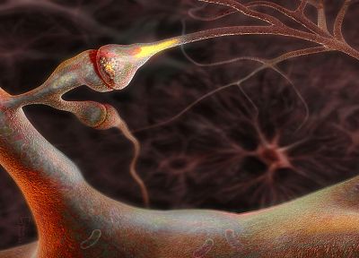 abstract, neurons, nerves - desktop wallpaper