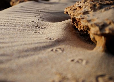 sand, rocks - desktop wallpaper