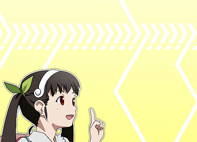 Bakemonogatari, Hachikuji Mayoi, anime girls, Monogatari series - duplicate desktop wallpaper
