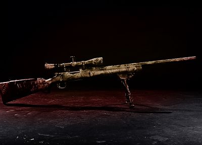 guns, sniper rifles - random desktop wallpaper
