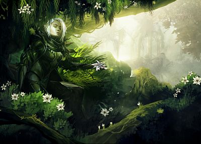 video games, nature, Guild Wars, fantasy art, artwork - desktop wallpaper