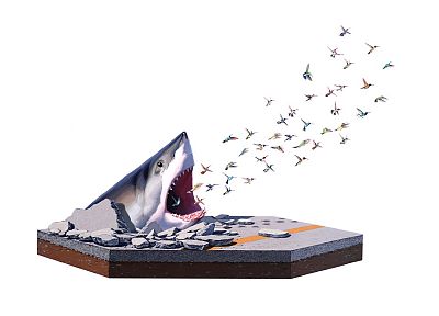 minimalistic, birds, sharks, artwork, great white shark - desktop wallpaper