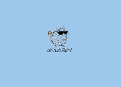 minimalistic, glasses, funny, sunglasses, Chinchilla, blue background - desktop wallpaper
